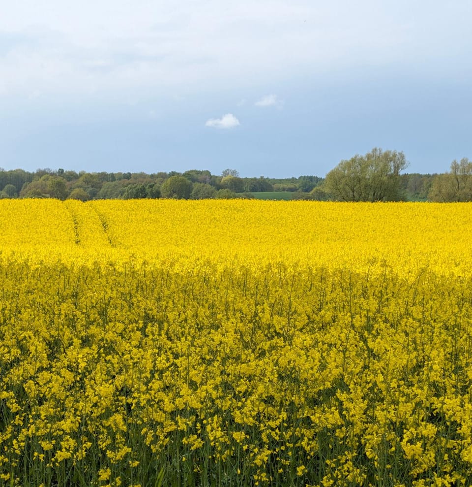 Natural landscape