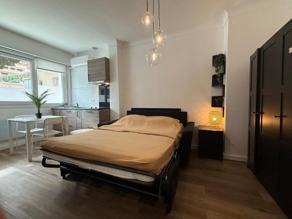 Large studio very close to La Croisette and beaches Apartment in Cannes