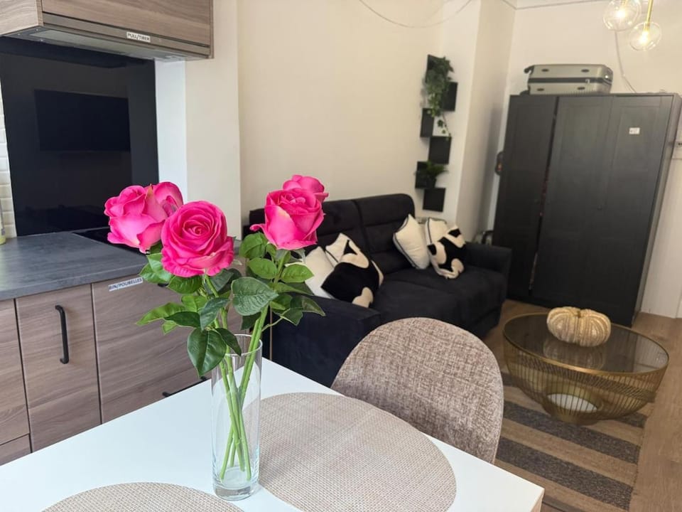 Large studio very close to La Croisette and beaches Apartment in Cannes