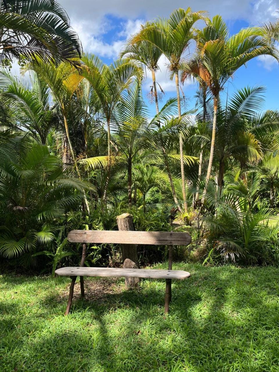 Villa Zen Des Îles--Piscine Privée Villa in Savanne District, Mauritius