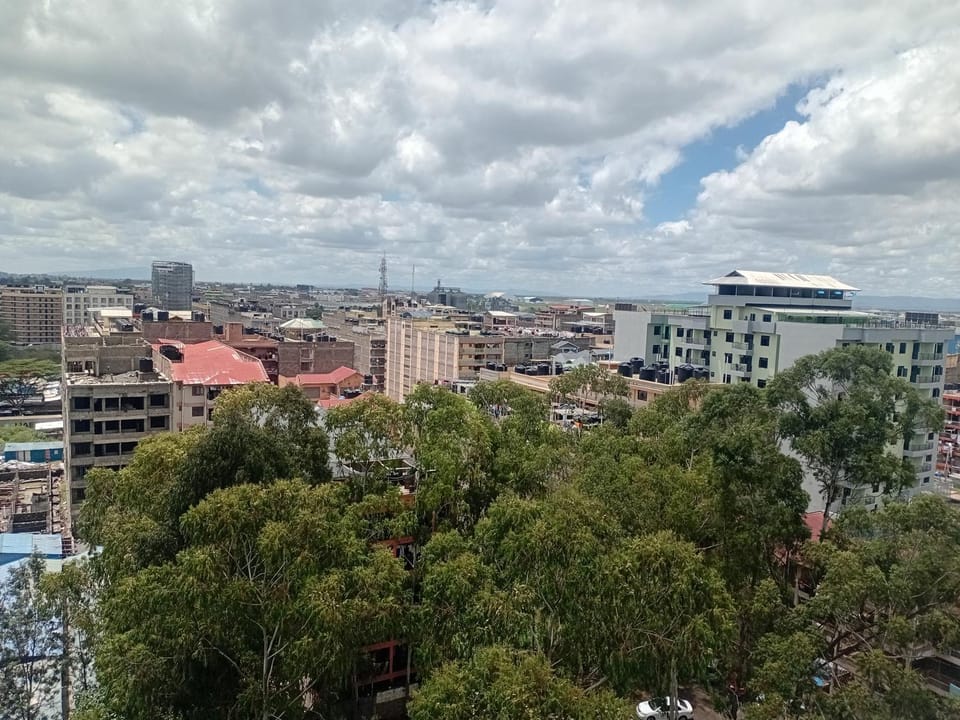 Day, Bird's eye view, City view