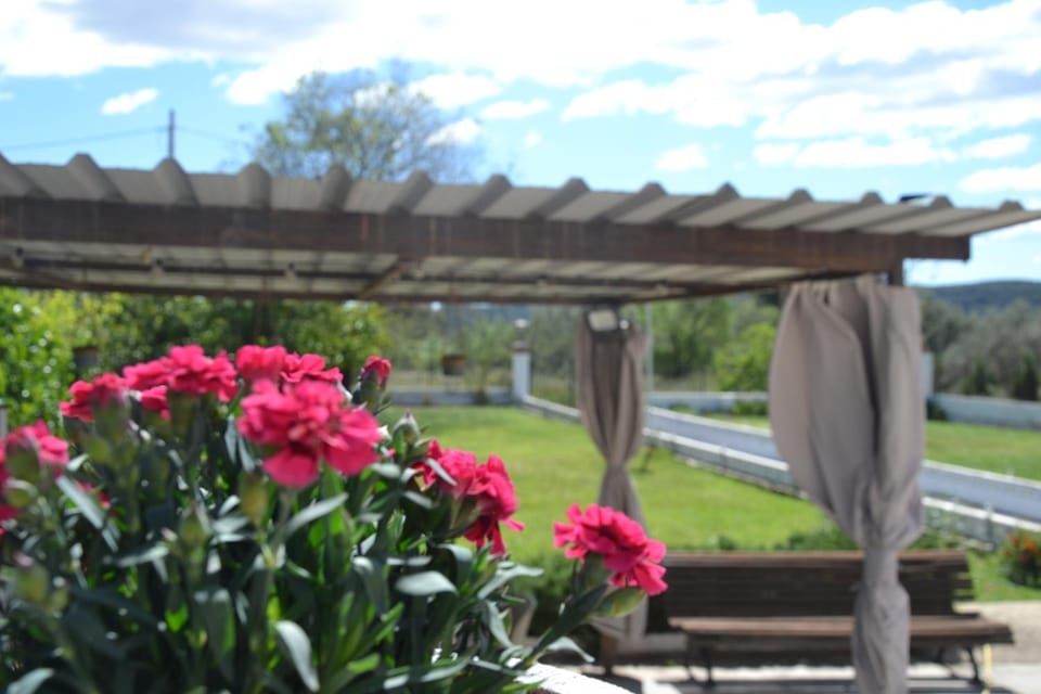 Garden, Garden view