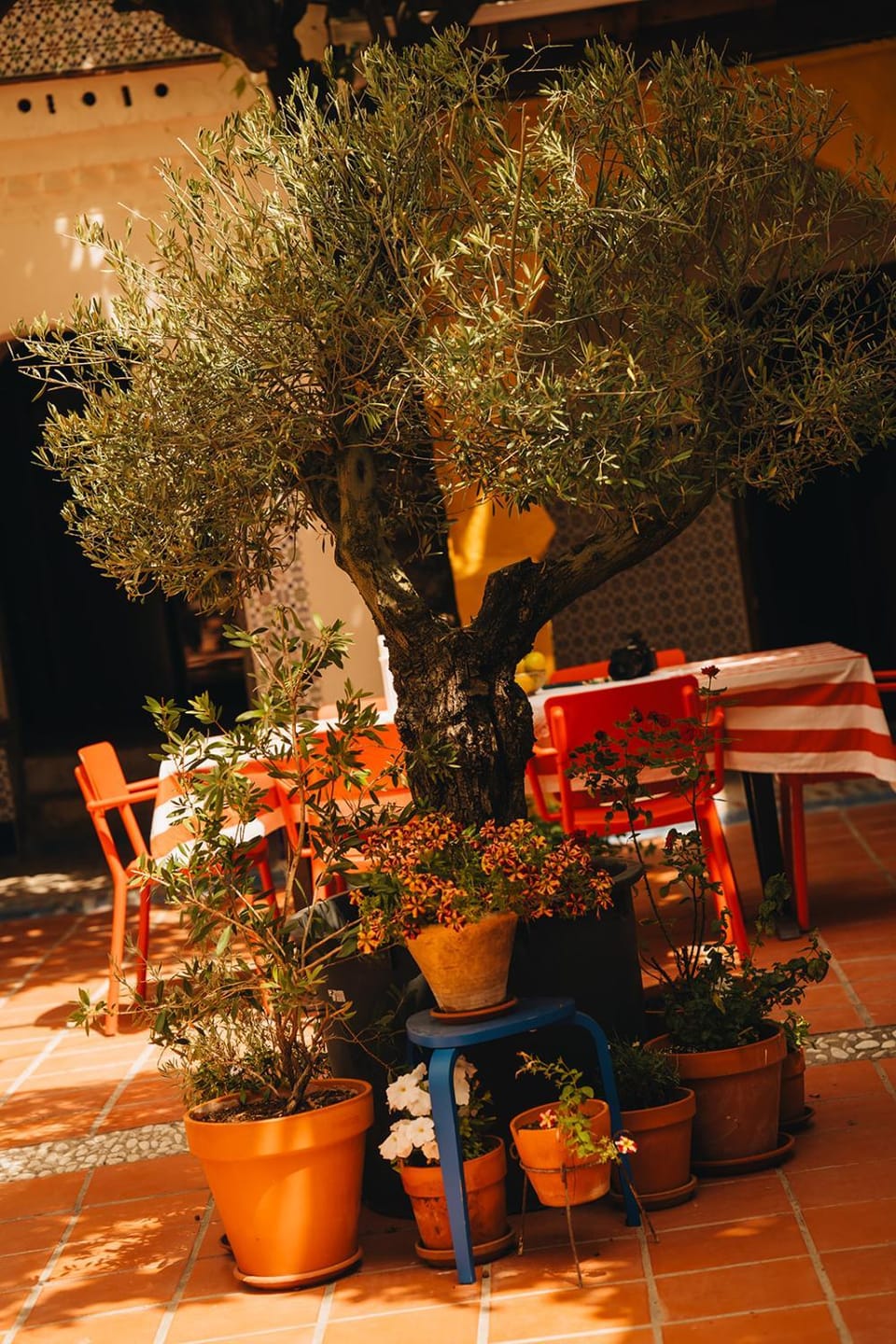 Patio