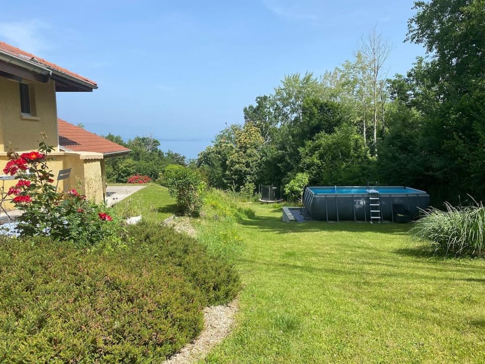 Garden, Garden, Garden view, Swimming pool