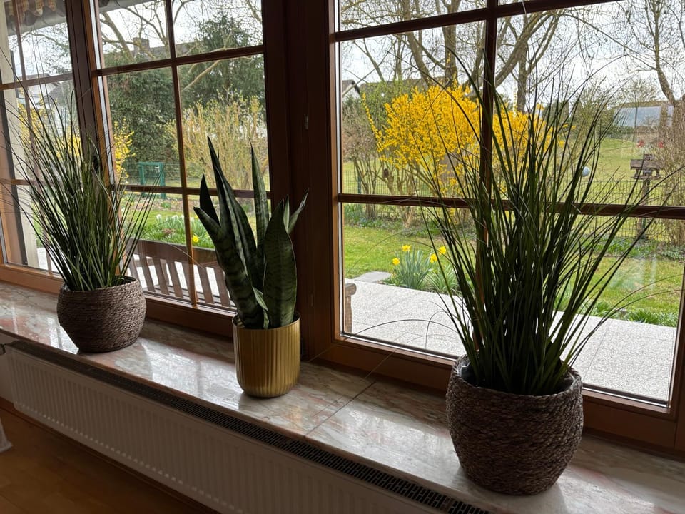 Ferienwohnung Sommer mit großer Terrasse am Stadtrand von Fulda Apartment in Fulda