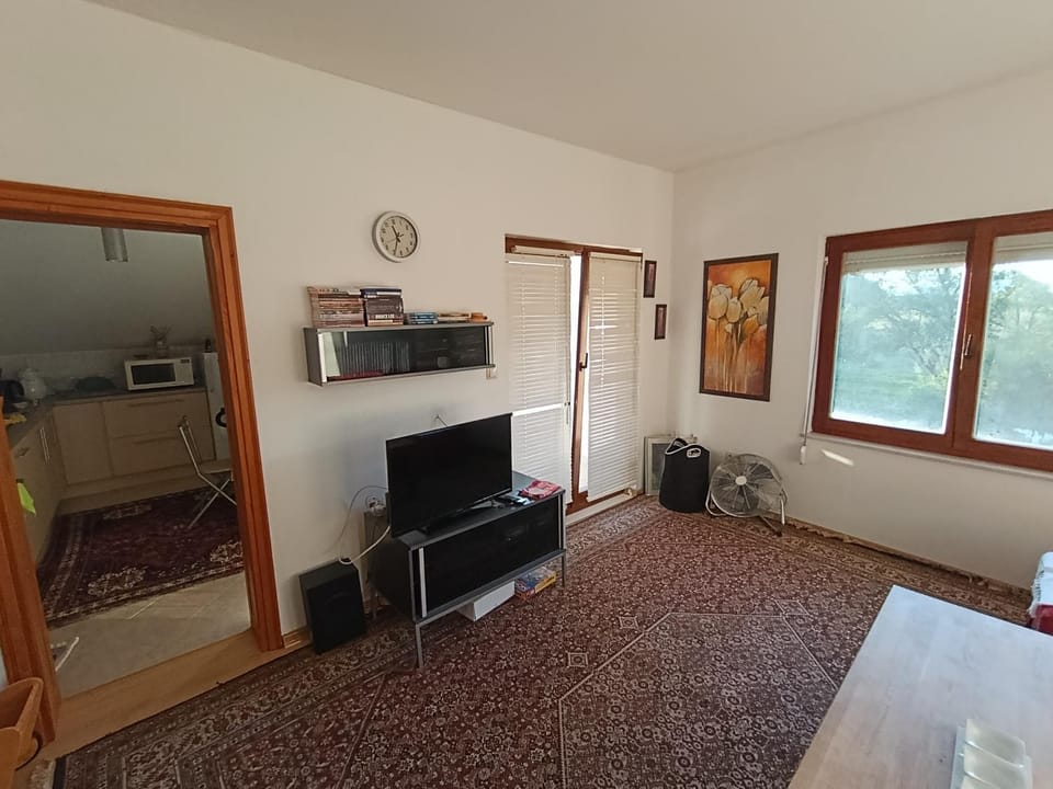TV and multimedia, Kitchen or kitchenette, Living room, Photo of the whole room