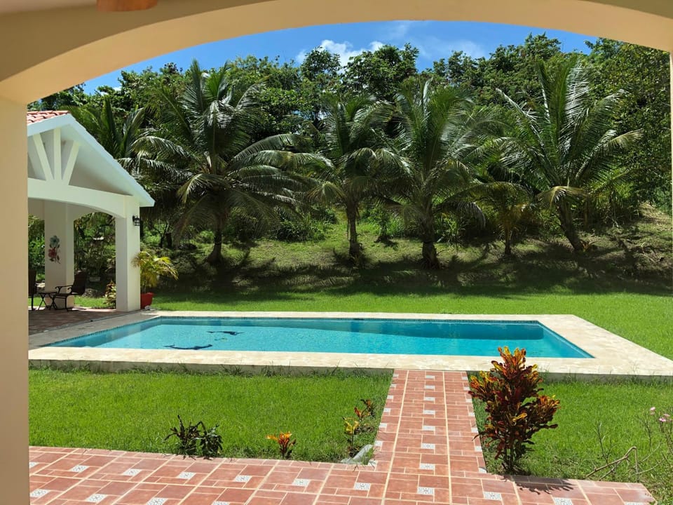 Pool view, Swimming pool