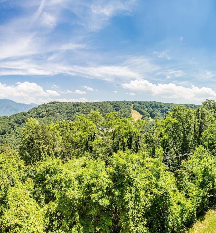 Bird's eye view, Mountain view