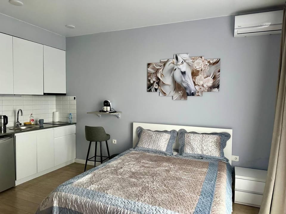 Kitchen or kitchenette, kitchen