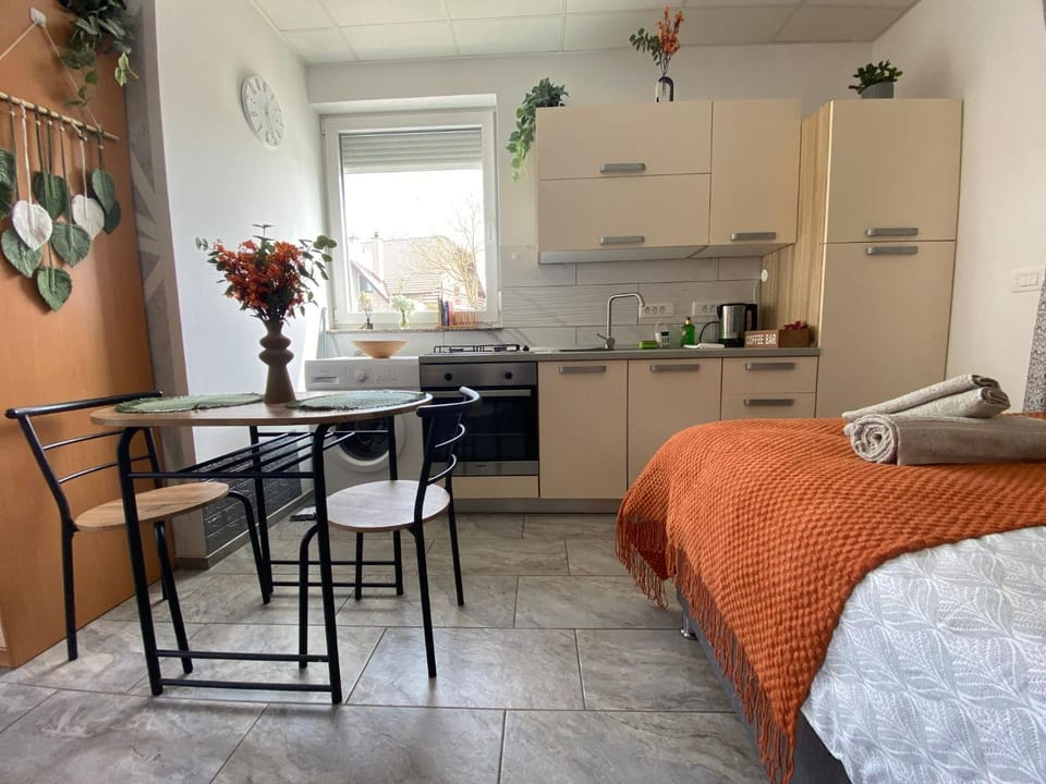 Kitchen or kitchenette, kitchen