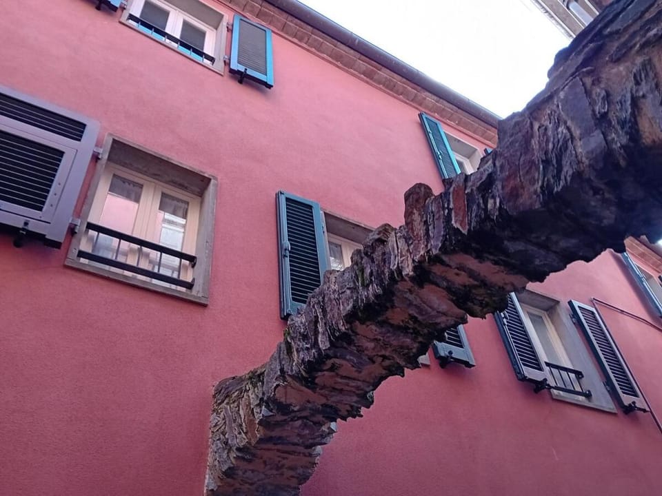 Le finestre su Montemarcello Apartment in Province of Massa and Carrara