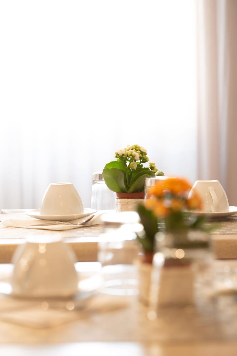 Communal kitchen