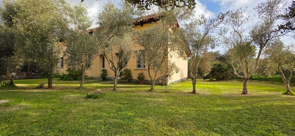 Case vacanza "Gli Ulivi" Apartment in Sardinia