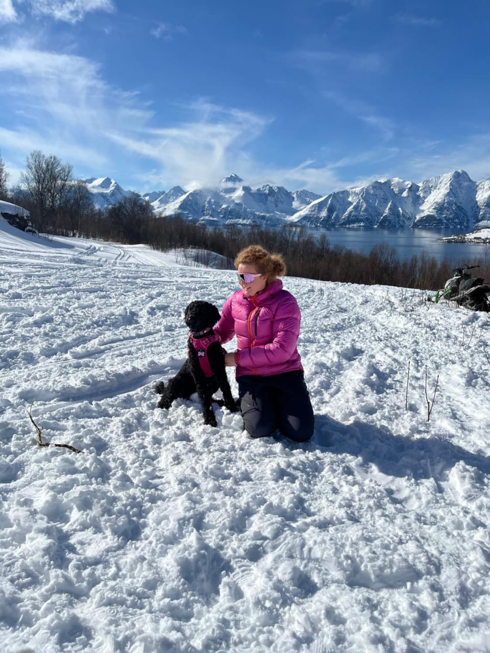 Koselig hytte ved sjøen og Lyngsalpene House in Lapland