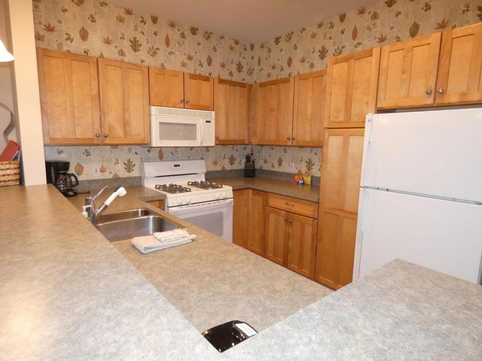 'Gone Ski In' at Slopeside Apartment in Michigan