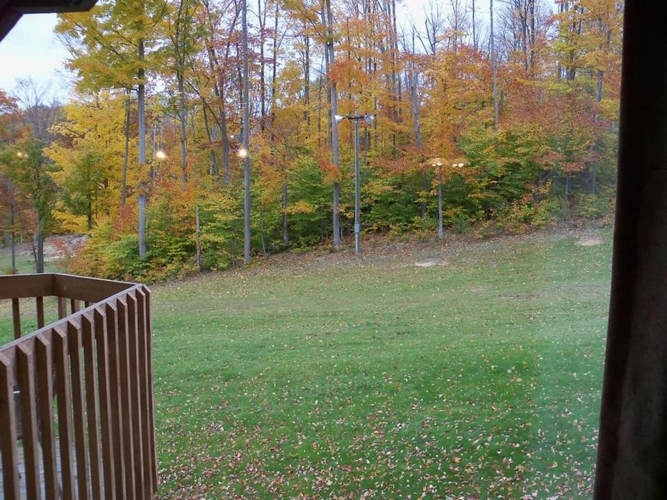 I'll Be Back Ski inout condo Apartment in Michigan