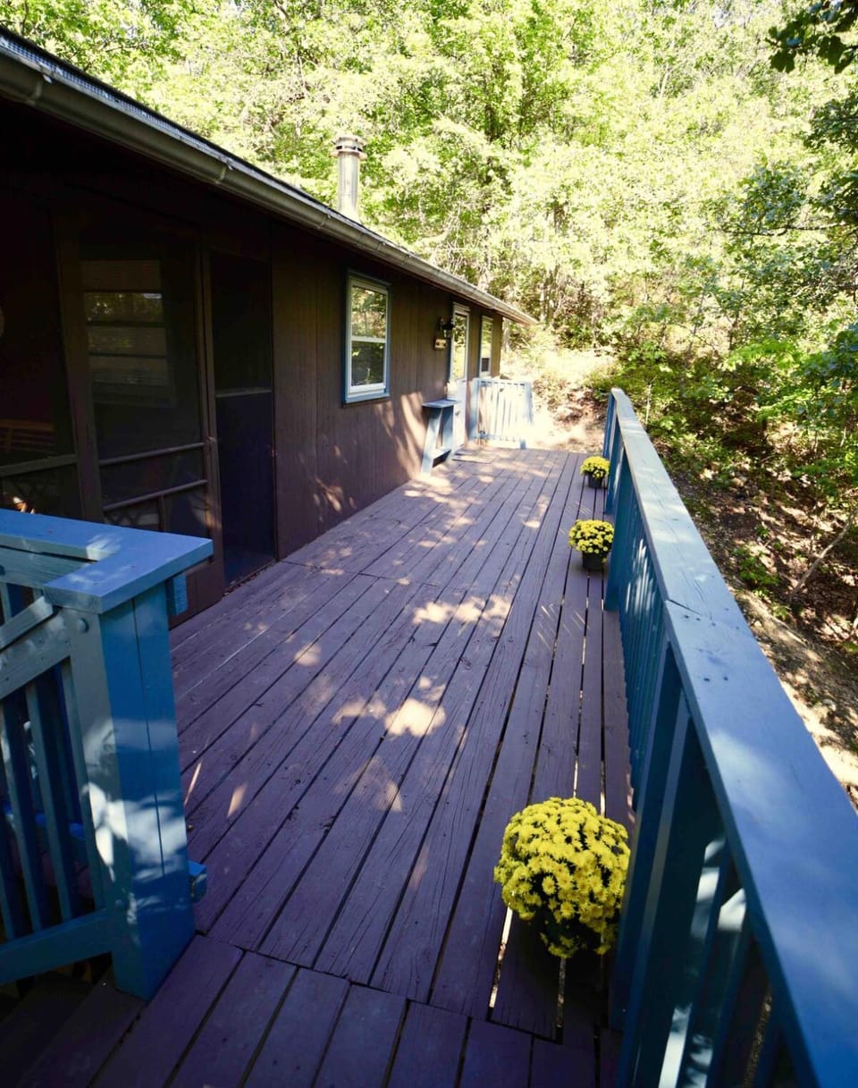 Cozy Romantic Cabin with Fire Pit Near Shenandoah NP Cabin in Shenandoah Valley