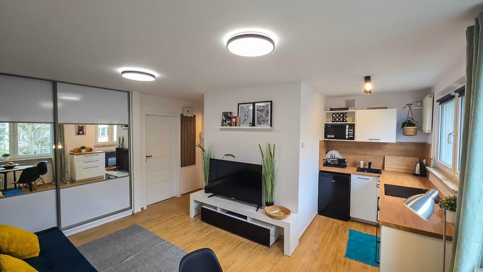 Communal lounge/ TV room, TV and multimedia, Kitchen or kitchenette, Area and facilities, dishwasher, internet, microwave, stove, wardrobe