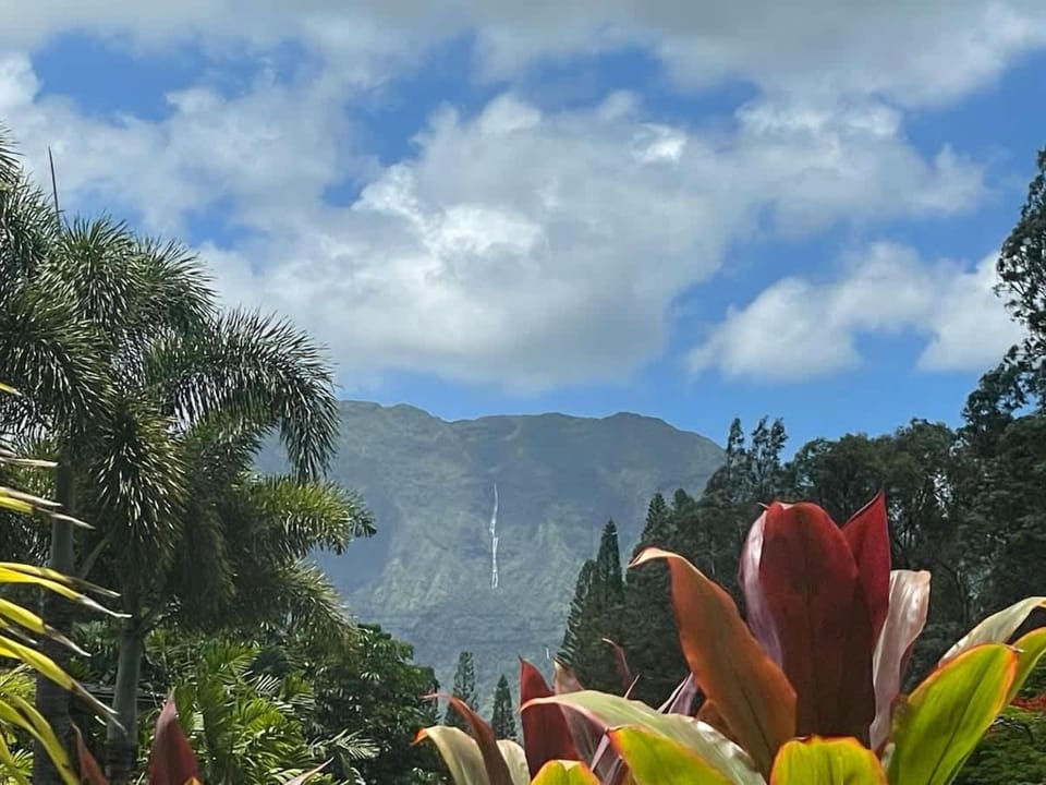 Luxury Hale Mahina North Shore Oasis with Solar Heated Pool House in Princeville