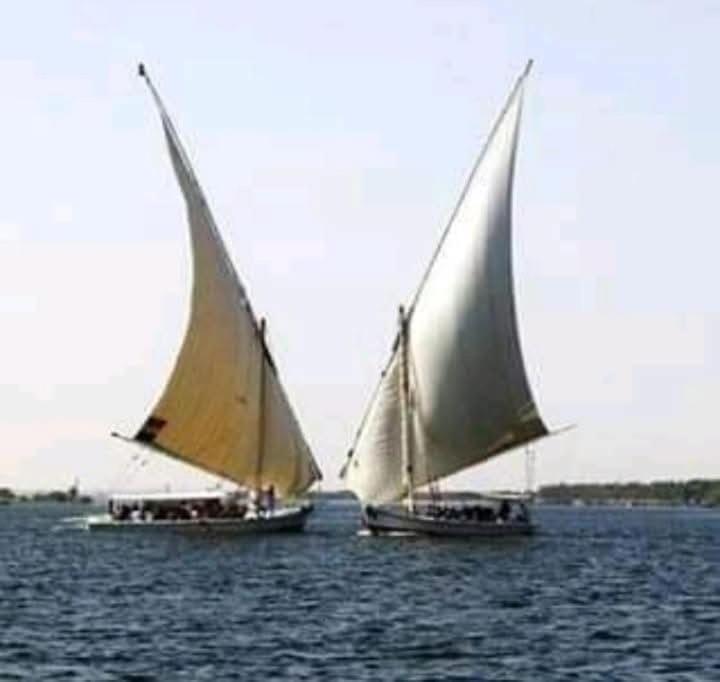 Royal Felucca - Shared Amazing Sailing Docked boat in Red Sea Governorate