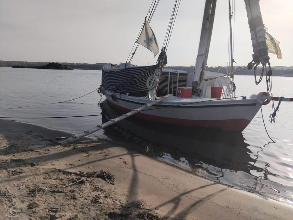 Royal Felucca - Shared Amazing Sailing Docked boat in Red Sea Governorate
