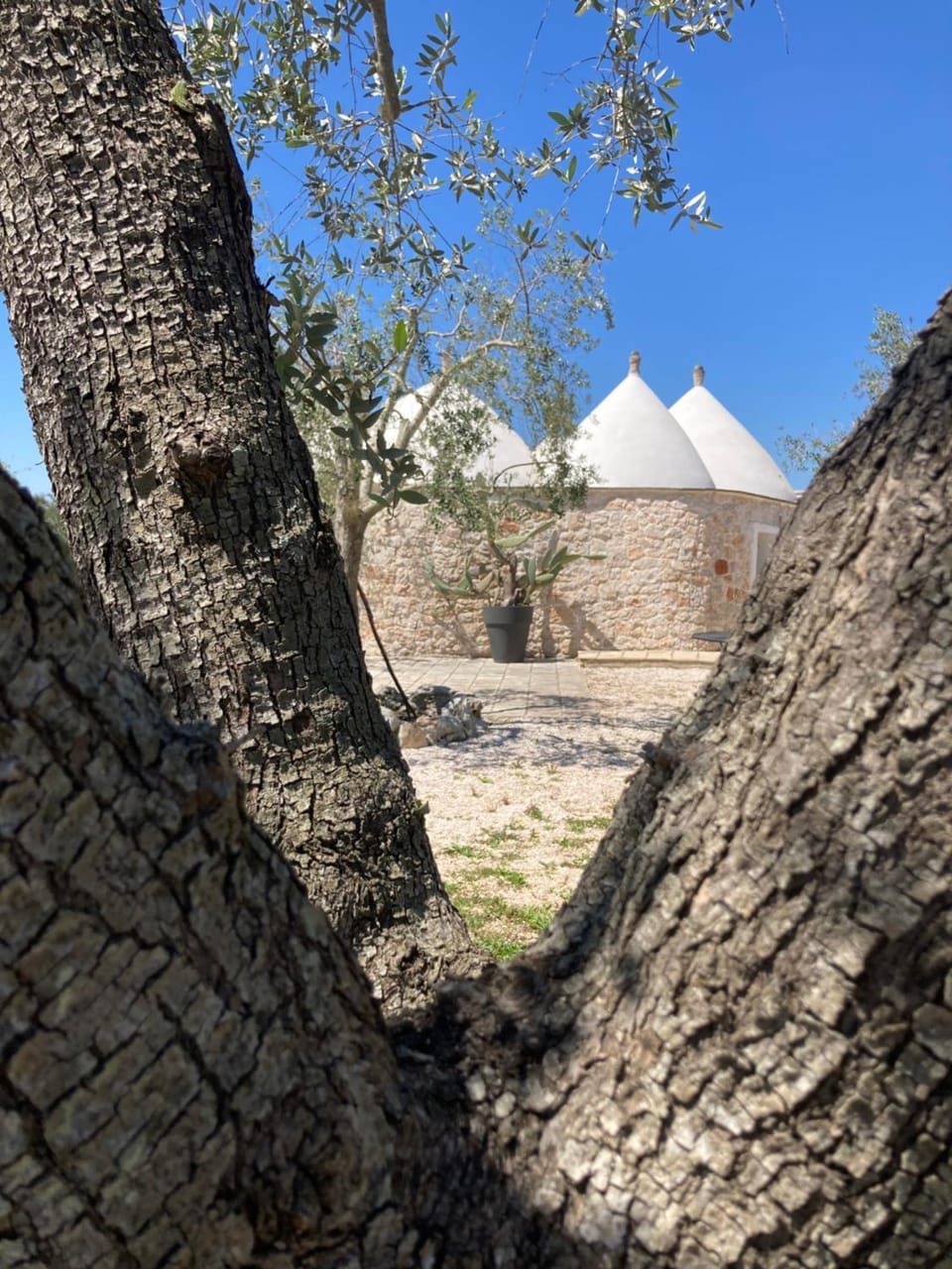 Trullo Lei by Borgo Paoli, Romantic Experience with Pool & Olive Trees in Ostuni Villa in Province of Taranto