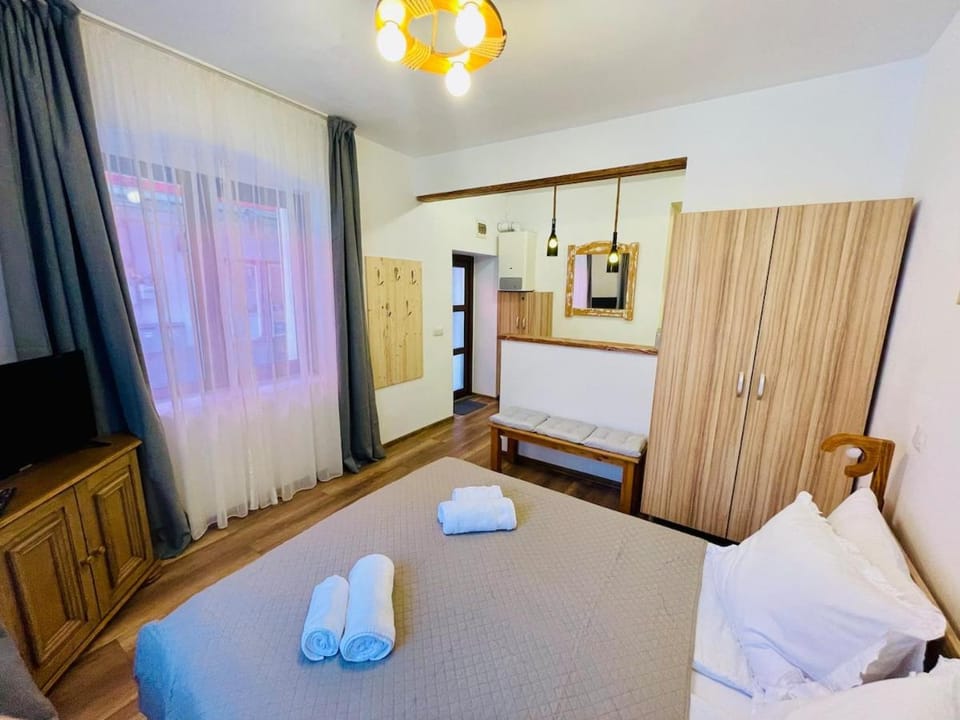 Studio Matei Apartment in Sibiu
