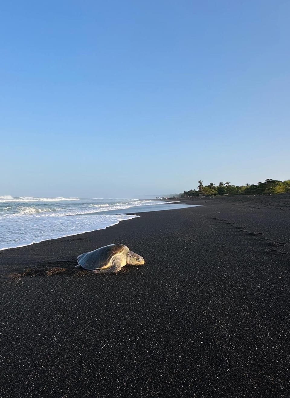Nearby landmark, Natural landscape, Beach