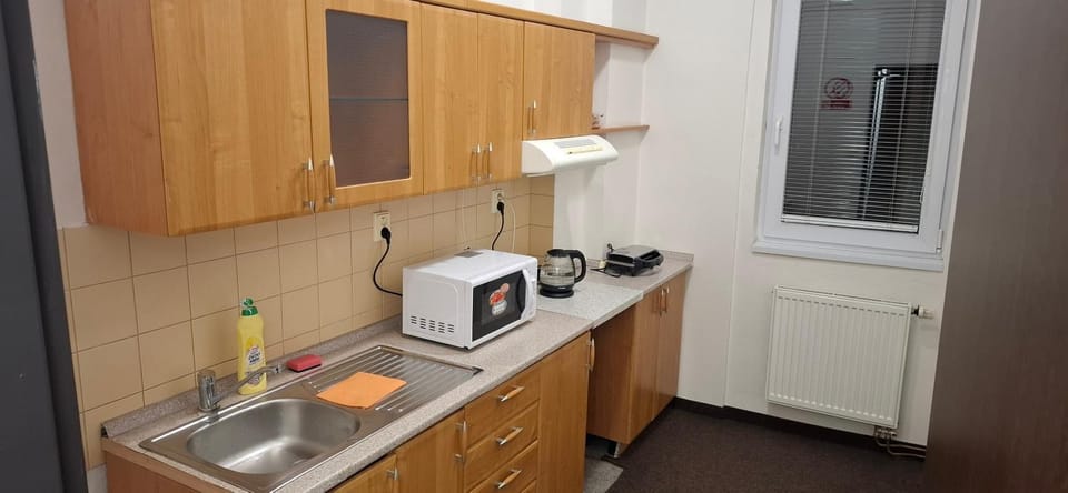 Kytlicka byt 1 Apartment in Prague