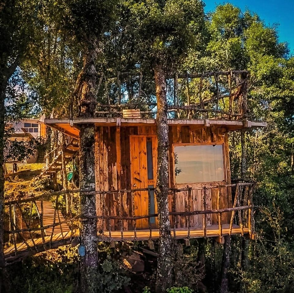 Biciting Casita en el Árbol con Terraza Apartment in Hidalgo, Mexico