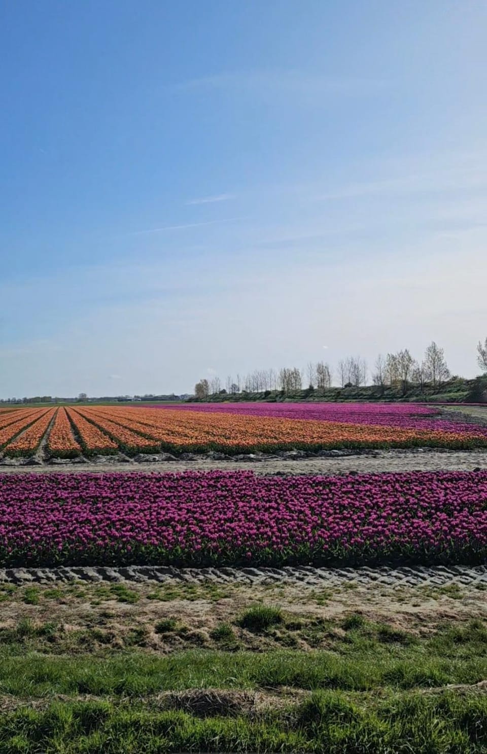 Natural landscape