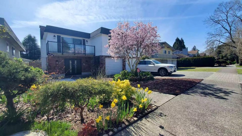 Property building, Spring