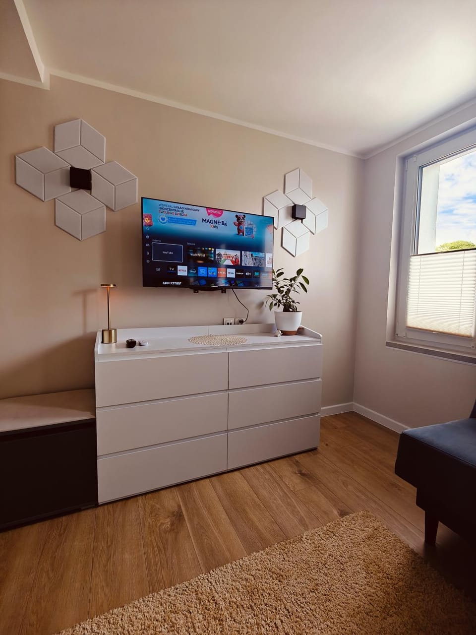 TV and multimedia, Living room
