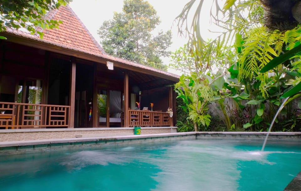 Garden, Swimming pool