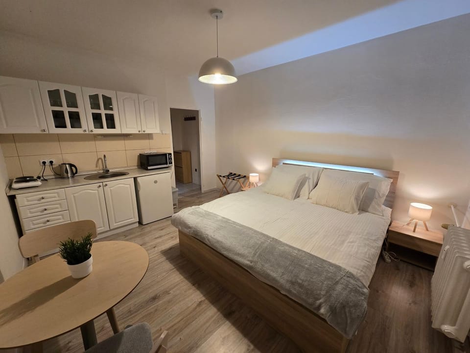 Cozy Urban Studio Apartment in Bratislava