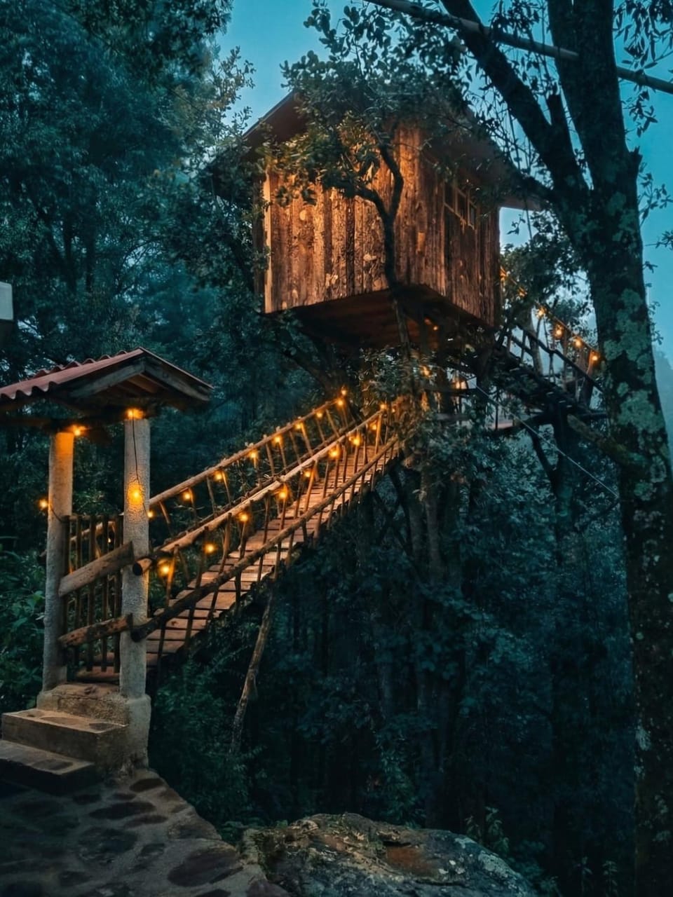 Biciting La Pequeña Casa en el Árbol Apartment in Hidalgo, Mexico