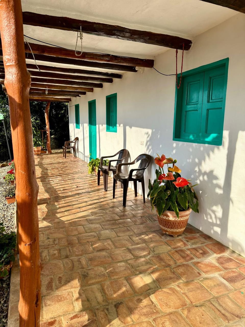 View (from property/room), Balcony/Terrace, Pool view