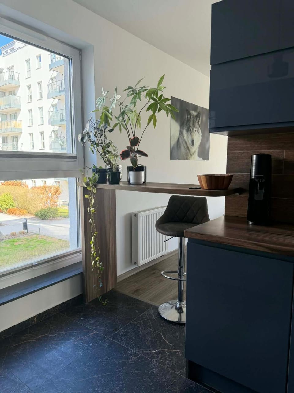Kitchen or kitchenette, minibar, pet friendly, stove