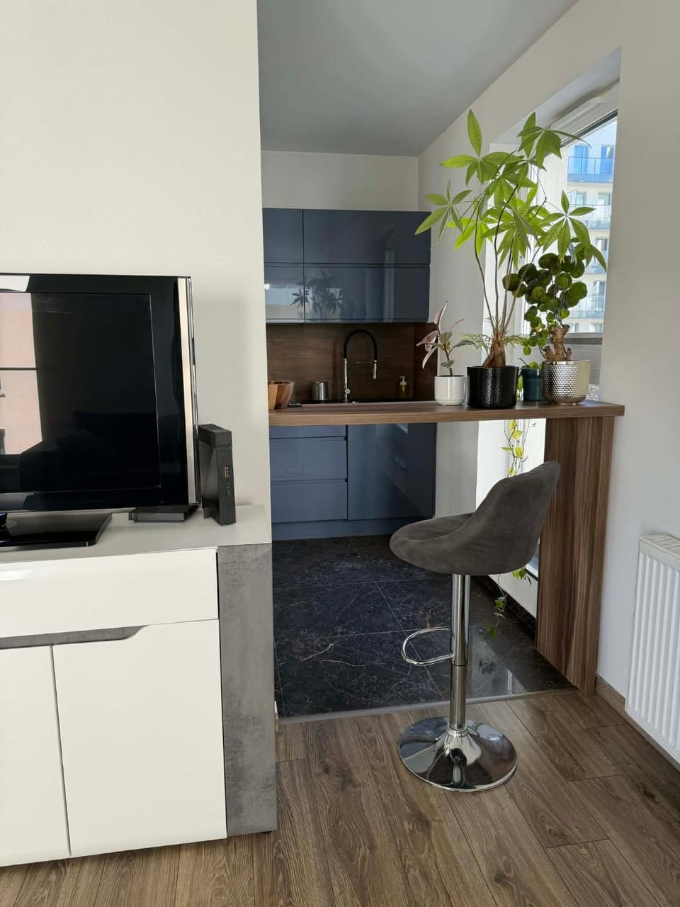 TV and multimedia, Kitchen or kitchenette, minibar, oven, pet friendly, stove