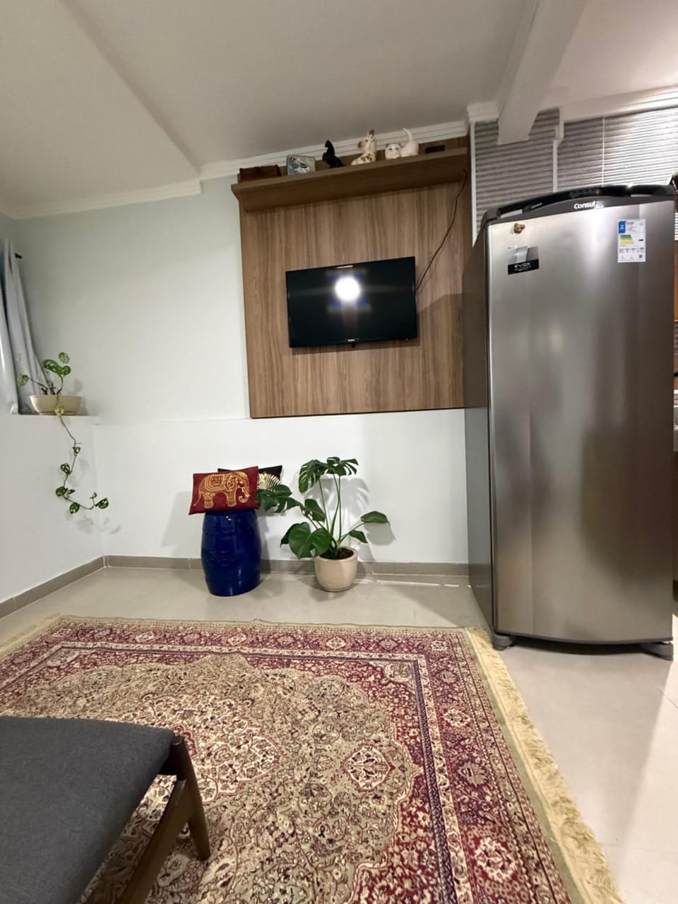 TV and multimedia