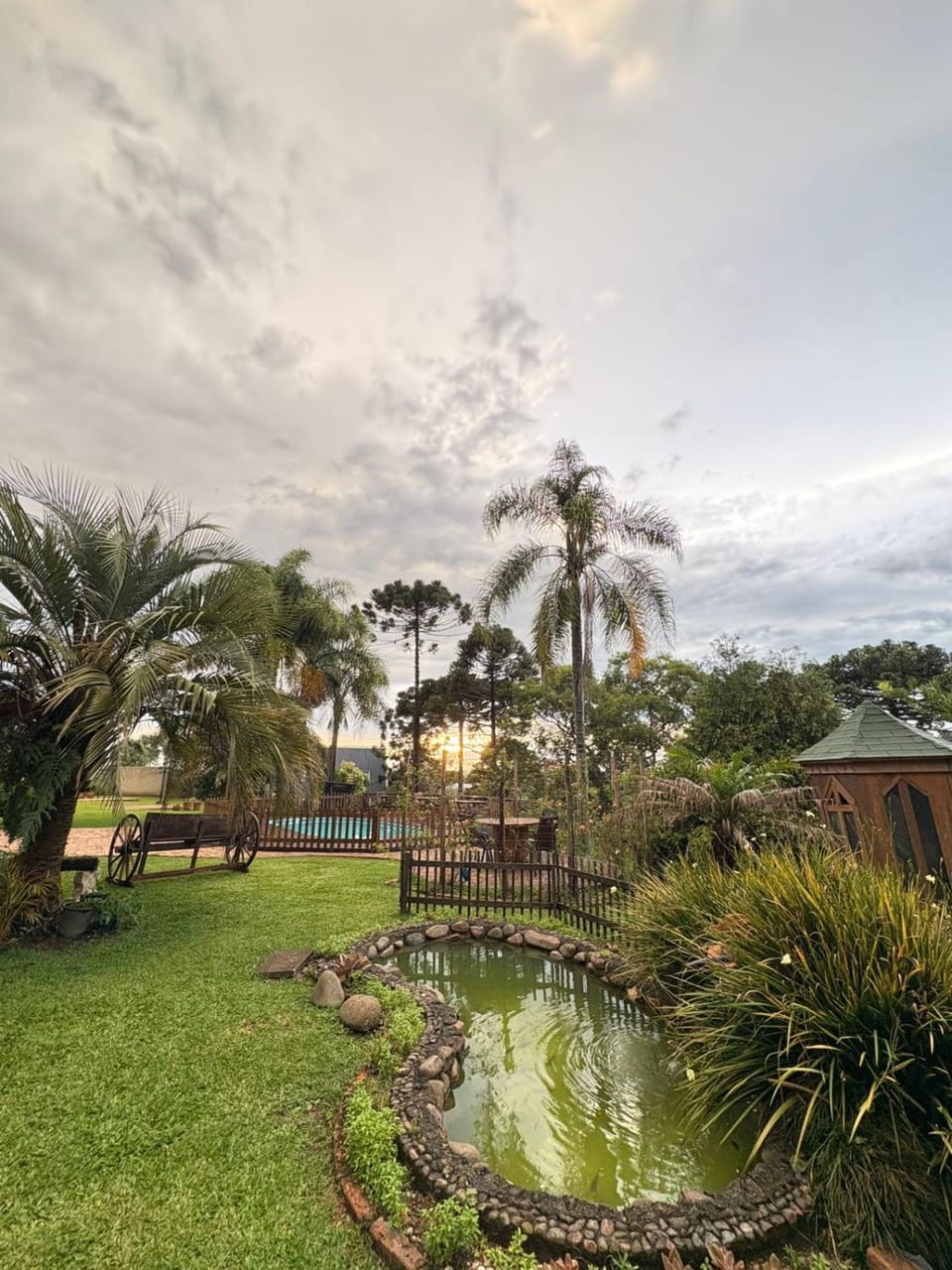 Spring, Natural landscape, Garden, Garden view, Pool view, Swimming pool