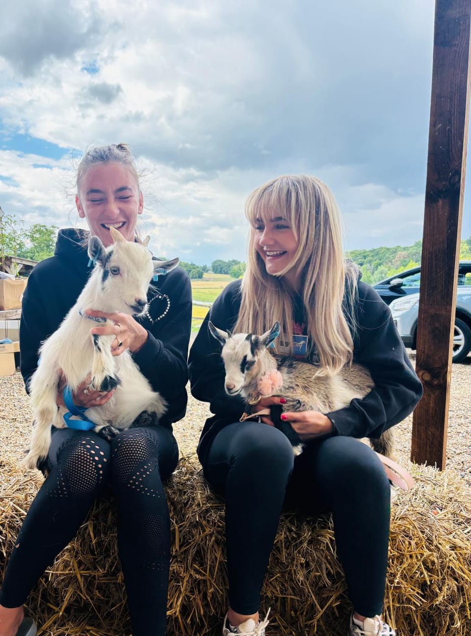 Farmstay riverside camping with activities Campground/ 
RV Resort in Hertford