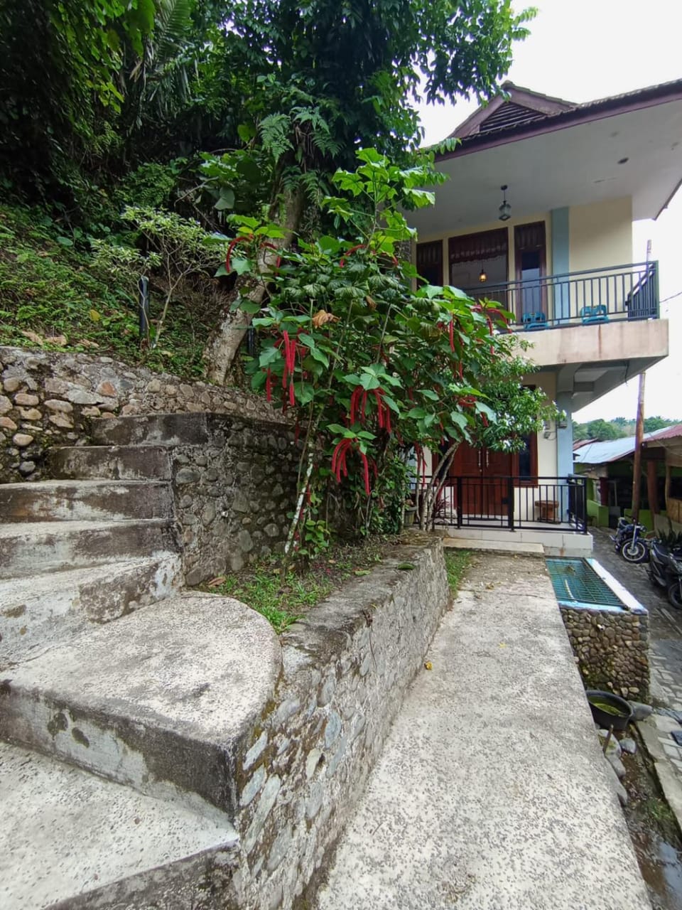 Monkey Business Tours & Accommodation Bed and Breakfast in Indonesia
