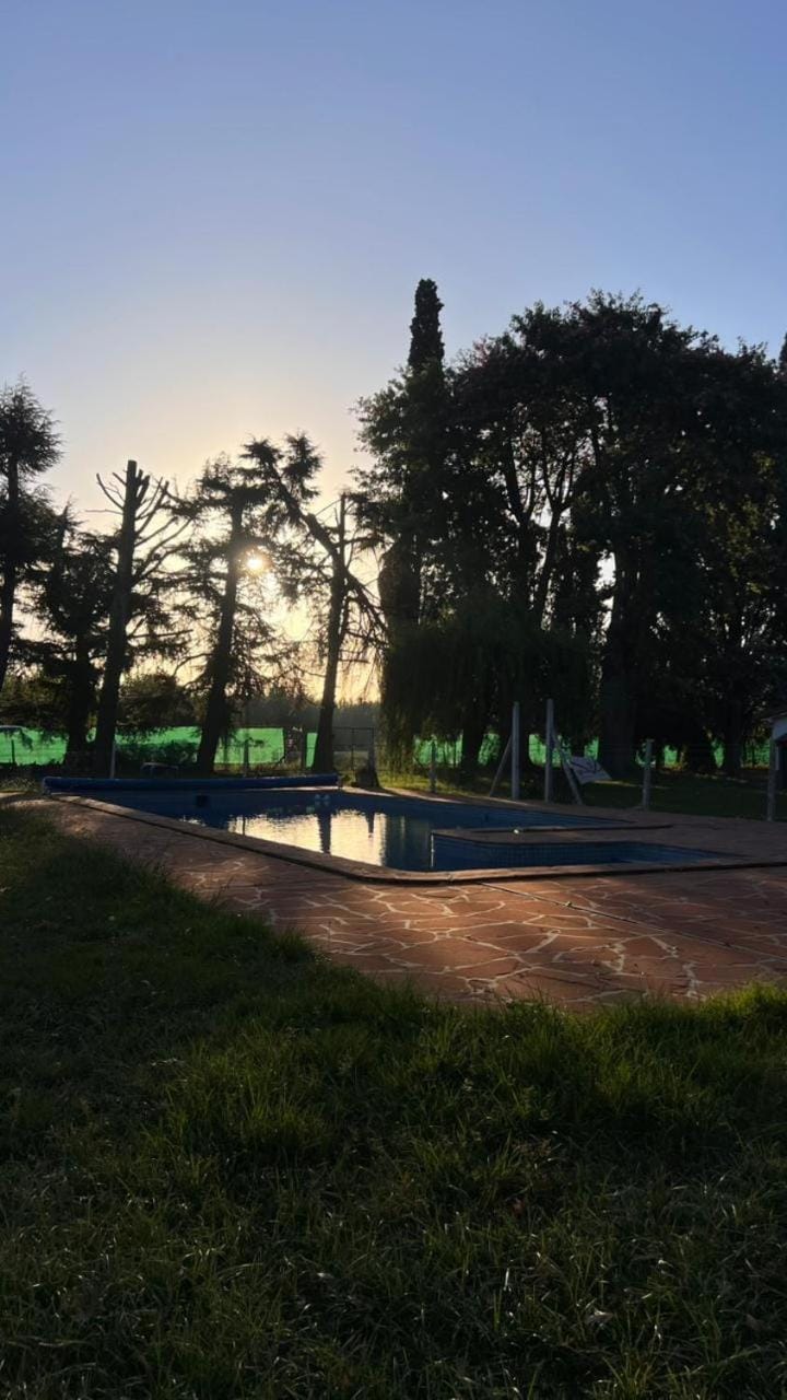 Garden view, Swimming pool