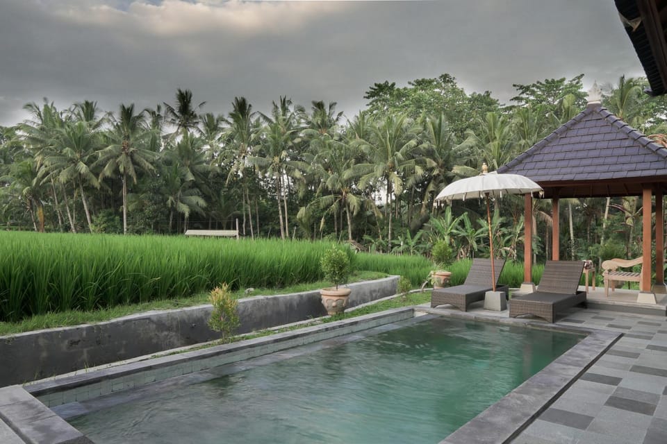 Day, Natural landscape, Garden, Seating area, Garden view, Pool view, Swimming pool, sunbed