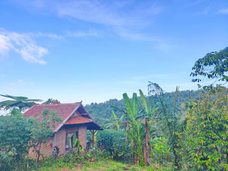 Property building, Spring, Day, Natural landscape, Garden, Garden view