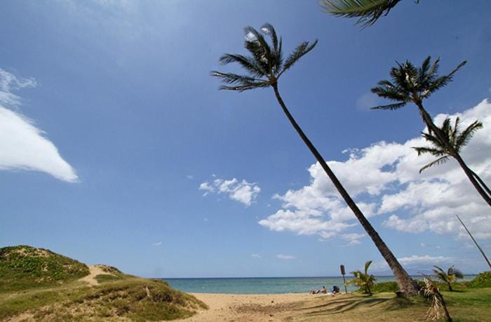 Kihei Garden Estates #C-208 Fully Renovated Loft-Style unit, Shared Hot Tub Apartment in Kihei