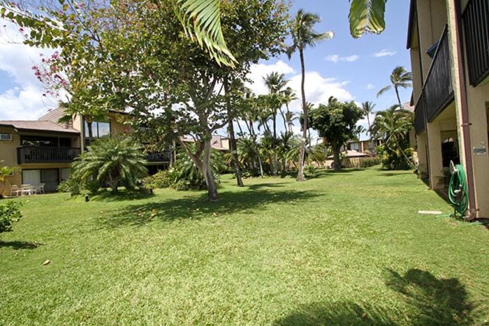 Kihei Garden Estates #C-208 Fully Renovated Loft-Style unit, Shared Hot Tub Apartment in Kihei