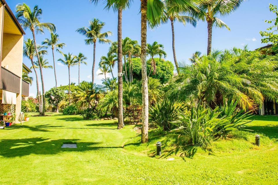 Kihei Garden Estates #E-202 Fully Renovated, Split A/C System, Shared Hot Tub Apartment in Kihei