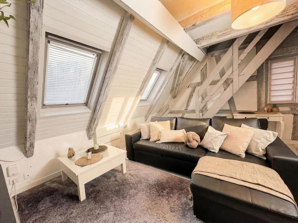 Écrin sous les toits - Charme et lumineux Apartment in Strasbourg